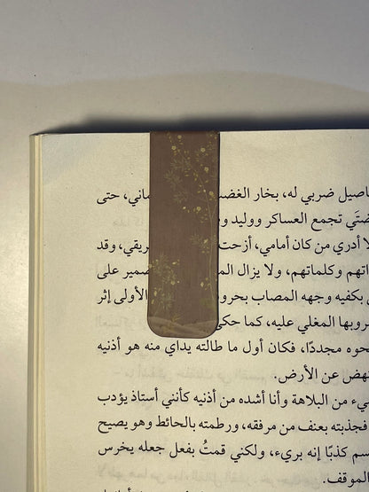 فاصل مغناطيسي ٢١