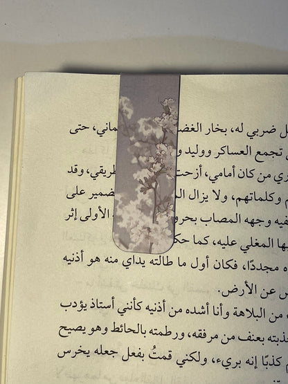 فاصل مغناطيسي ١١
