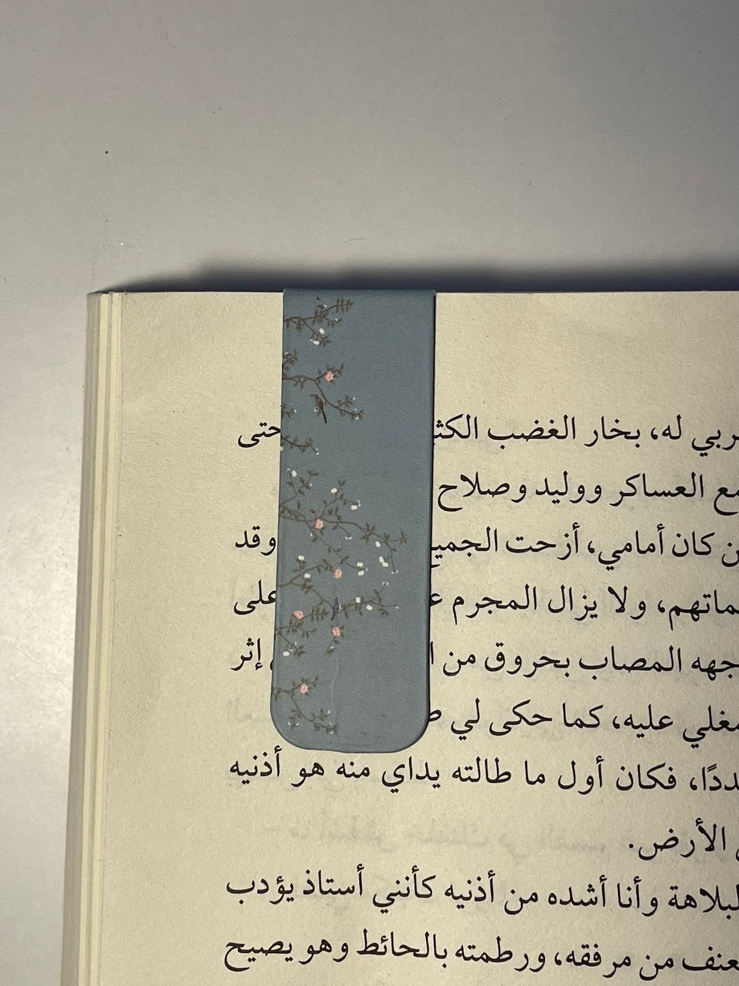 فاصل مغناطيسي ١٩