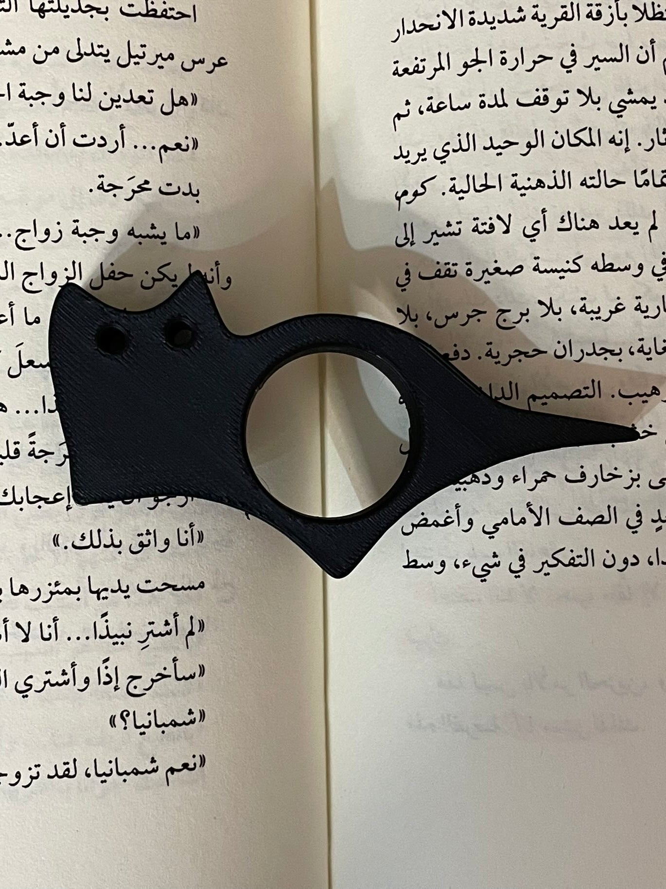 مثبت الصفحات للكتاب (القط الأسود)